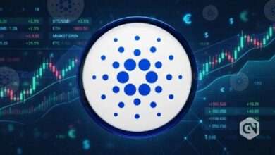 سعر كاردانو يحافظ على مستوى الدعم مع ارتفاع الطلب على المشتقات