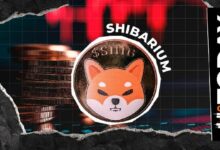 شيبا إينو: معاملات شيباريوم تشهد انخفاضًا بنسبة 1,889% وسط عملية إعادة ضبط