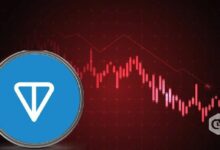 انخفاض تونكوين (TON) بنسبة 3% بعد توقف الصعود التالي للتحديث