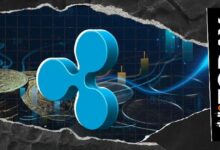 ريبل توسع حلولها للأصول الرقمية بإطلاق نظام إدارة الخزانة