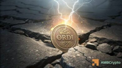 أوردرنالز تقفز 100% مع ارتفاع حجم التداول 532% – هل يصمد صعود ORDI؟