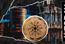 جوجل تسمي كاردانو ثاني أكثر بلوكشين جاهزية للحوسبة الكمومية