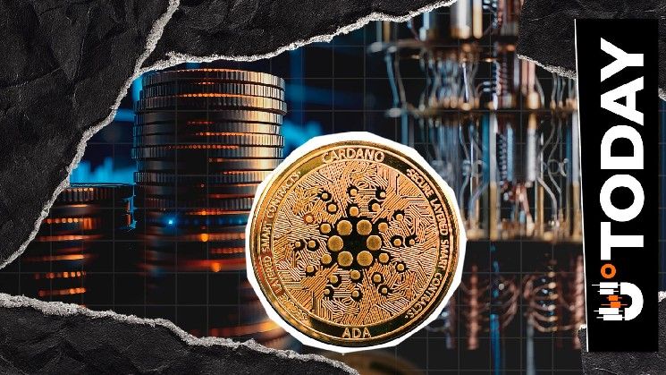 جوجل تسمي كاردانو ثاني أكثر بلوكشين جاهزية للحوسبة الكمومية