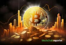 بيتكوين يستهدف تعافي 90 ألف دولار مع إشارة MACD الصاعدة الأولى منذ انهيار أكتوبر