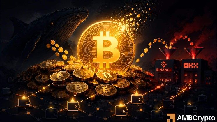 لماذا يعتبر انتعاش البيتكوين إلى 75 ألف دولار سلاحًا ذا حدين – 3 أسباب توضح ذلك!