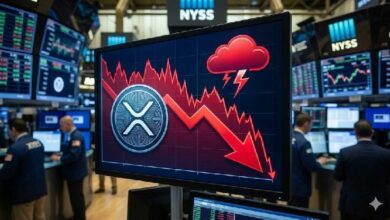 سعر XRP يعود إلى نطاق الدعم، لحظة فارقة للثيران