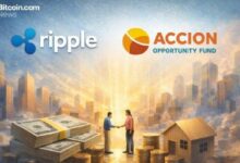 ريبل تسلط الضوء على تأثير RLUSD مع تدفق القيمة الحقيقية نحو المشاريع الصغيرة