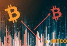 دراسة: تخصيص 1% فقط للبيتكوين يعيد تشكيل مخاطر المحفظة الاستثمارية بشكل جذري