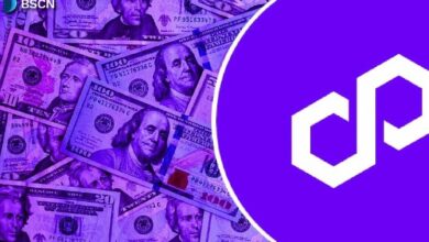 هل يمكن أن يصبح بوليجون ملك العملات المستقرة؟