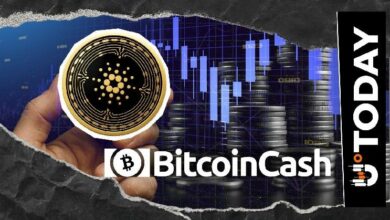 كاردانو (ADA) تتخطى بيتكوين كاش مع تعافي طفيف في السعر