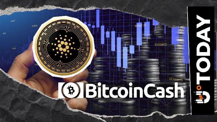 كاردانو (ADA) تتخطى بيتكوين كاش مع تعافي طفيف في السعر