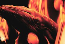 البيتكوين لا يحتضر بل ينتقل بين الأيدي، وفقًا لتحليل الخبراء