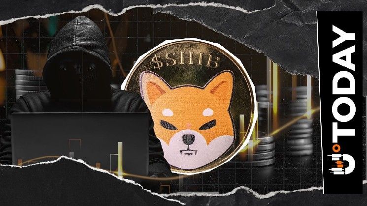 "العد التنازلي؟": تحديث شيتوشي كوساما يثير التكهنات حول SHIB