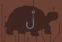 وفاة أقدم سلحفاة في العالم كانت مجرد خدعة في عالم العملات الرقمية