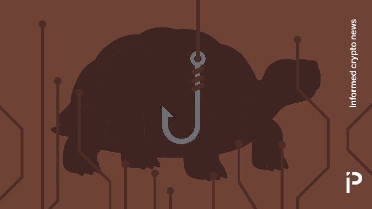 وفاة أقدم سلحفاة في العالم كانت مجرد خدعة في عالم العملات الرقمية