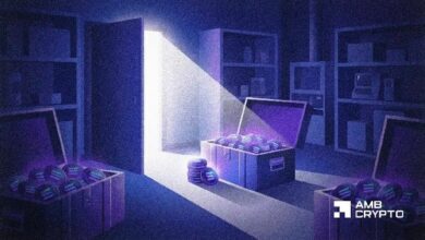 هل بدأ رهان شركة تطوير التمويل اللامركزي (DeFi) على سولانا يؤتي ثماره أخيرًا؟