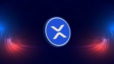 كم يسيطر صناديق الاستثمار المتداولة الآن من إجمالي عرض XRP؟