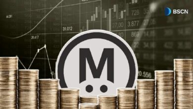 إطلاق MegaETH الرسمي: كل ما تحتاج معرفته