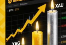 داخل حمى الذهب والنفط في بينانس: هل تستعد الحيتان لصدمة في سوق العملات الرقمية؟