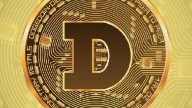 خبير تشفير يحذر: لماذا تعتبر دوجكوين عملة بديلة ضعيفة يجب تجنب الاحتفاظ بها