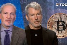 بيتر شيف يتحدى سايلور في مناظرة حول STRC