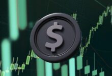 طائر الطين يفقد أكثر من 50% وسط ارتفاع الفائدة المكشوفة على البيع