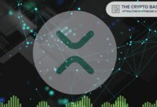 حجم العملات المستقرة على شبكة إكس آر بي ليدجر يقفز إلى 1.77 مليار دولار