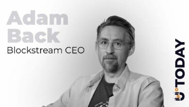 آدم باك يكسر صمته حول فيلم "البحث عن ساتوشي": فجوات التوقيت تدحض أحدث نظرية عن مبتكر بيتكوين