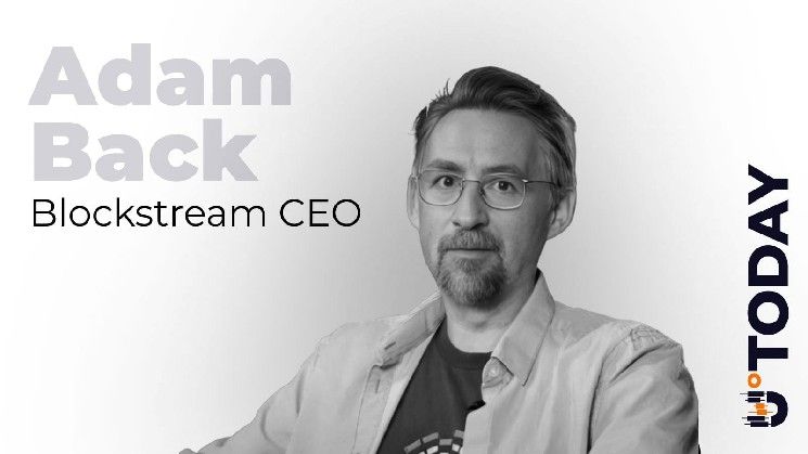 آدم باك يكسر صمته حول فيلم "البحث عن ساتوشي": فجوات التوقيت تدحض أحدث نظرية عن مبتكر بيتكوين