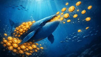 حيتان البيتكوين تزيد التراكم: الممتلكات تبلغ أعلى مستوى في شهرين