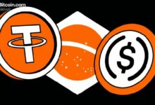 مع تراجع الضرائب.. اعتماد العملات المستقرة يشهد تصاعداً مستمراً في البرازيل