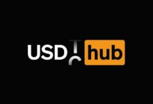 بورن هاب يستبدل USDT بـ USDC