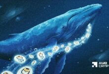 حوت إيثريوم يحوّل 1.14 مليون دولار إلى ASTEROID – إليك ما يعنيه ذلك!