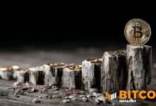 بيتكوين يتجاوز منتصف دورة التخفيض مع تضييق المعروض نحو 2028