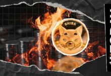 شيبا إينو تواصل مسيرة صعودها وسط ارتفاع حرق العملة بنسبة 237%