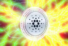 جدل جسر منتصف الليل يشتد بعد رد هوسكينسون وإدراج كوين سبوت