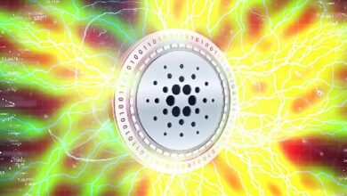 جدل جسر منتصف الليل يشتد بعد رد هوسكينسون وإدراج كوين سبوت