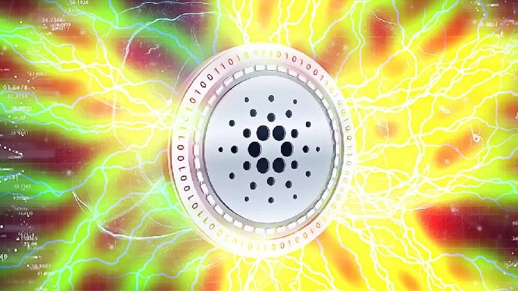 جدل جسر منتصف الليل يشتد بعد رد هوسكينسون وإدراج كوين سبوت