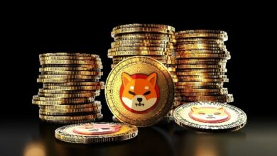 سعر شيبا إينو يقترب من 0.0000060 دولار تحت ضغط هبوطي مع استمرار المقاومة