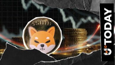 "القوة الحقيقية تكمن في التمسك": رسالة شيبا إينو تعيد إحياء إرث مؤسسها ريوشي