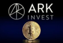 وفقًا لتقرير شركة ARK Invest العملاقة للاستثمار، عدد المستثمرين المتراكمين للبيتكوين يصل إلى مستوى قياسي! إليكم التفاصيل