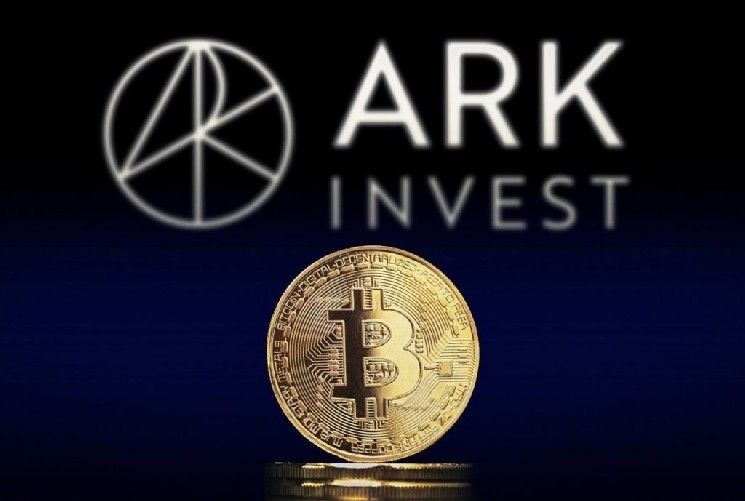 وفقًا لتقرير شركة ARK Invest العملاقة للاستثمار، عدد المستثمرين المتراكمين للبيتكوين يصل إلى مستوى قياسي! إليكم التفاصيل