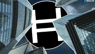 هل عادت تدفقات صناديق Hedera ETF؟ هل هي البداية فقط؟