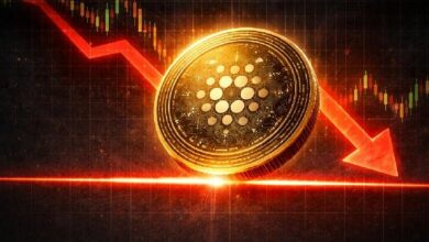 مؤسسة كاردانو تقلص حيازاتها من ADA من 76.7% إلى 51.6%: هل هي إشارة هبوط للسوق؟