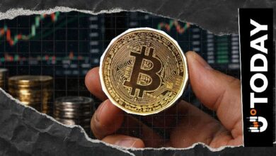 حوت بيتكوين يستيقظ وينقل 600 عملة بعد سبات طويل تجاوز 10 سنوات