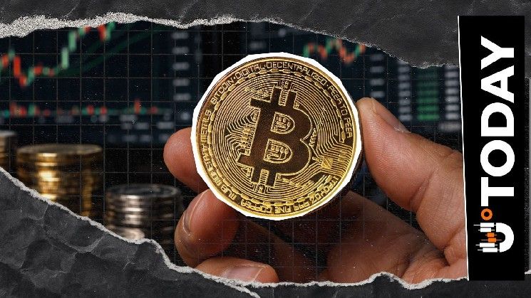 حوت بيتكوين يستيقظ وينقل 600 عملة بعد سبات طويل تجاوز 10 سنوات