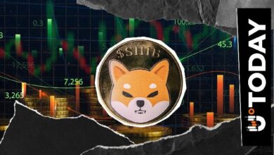 شيبا إينو (SHIB) على حافة فقدان مكانتها الكبرى: تحليل مستوى الدعم البالغ 3.4 مليار دولار في 12 أبريل