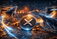 حيتان XRP تنقل 592 مليون دولار من البورصات في يومين.. ما السبب؟