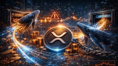 حيتان XRP تنقل 592 مليون دولار من البورصات في يومين.. ما السبب؟