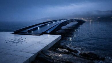 شبكة كاردانو بقيمة 9 مليارات دولار تشهد نشاطًا حقيقيًا محدودًا.. نظامها الجديد يهدف إلى معالجة هذه المشكلة